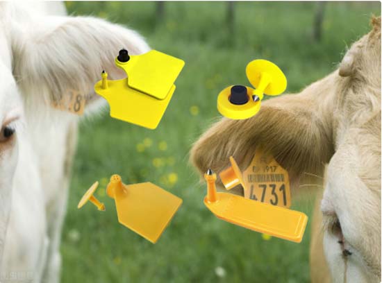 Low frequency and high frequency RFID animal ear tags, did you choose the right one?