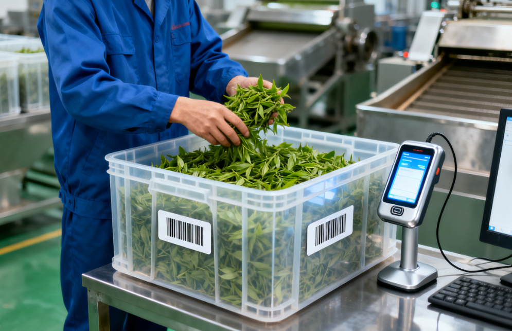 1762742198864515.png e2a59565-6e99-40ce-9234-f0ecfa45d08e.png